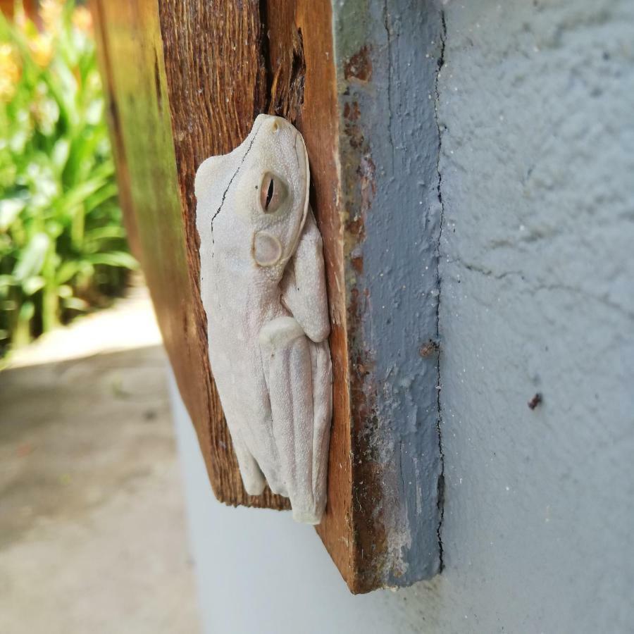 Karandi Hostel ウビタ エクステリア 写真